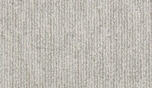 gray carpet